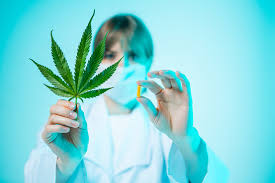 cbd et bains de bouche soins dentaires au portugal